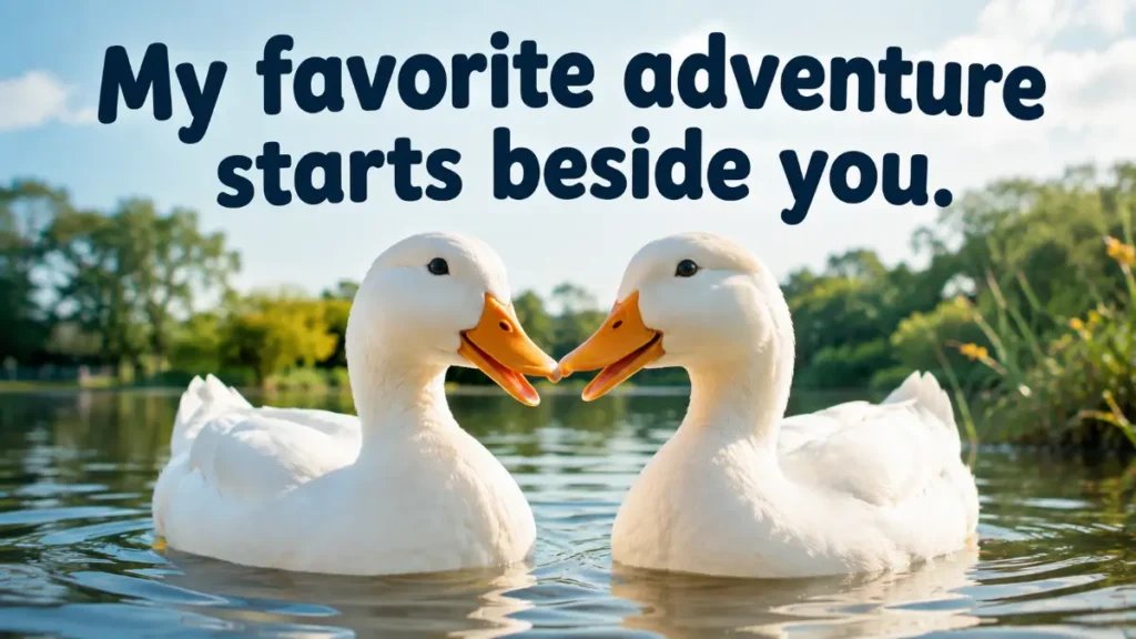 Best Duck Pick Up Lines For Every Crush